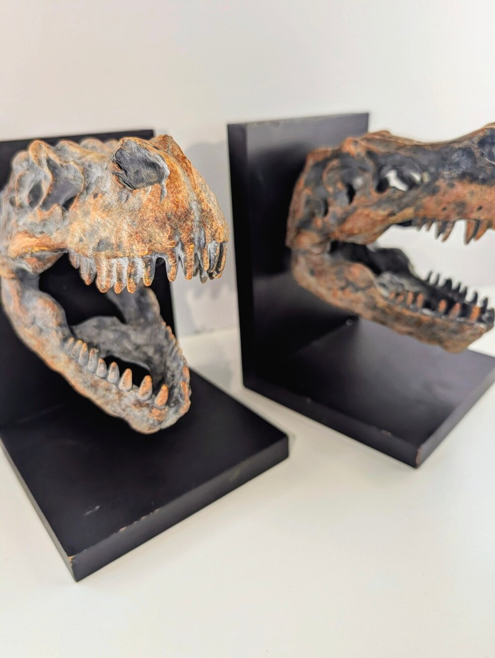 Tyrannosaurus Rex Skull Bookends (2)